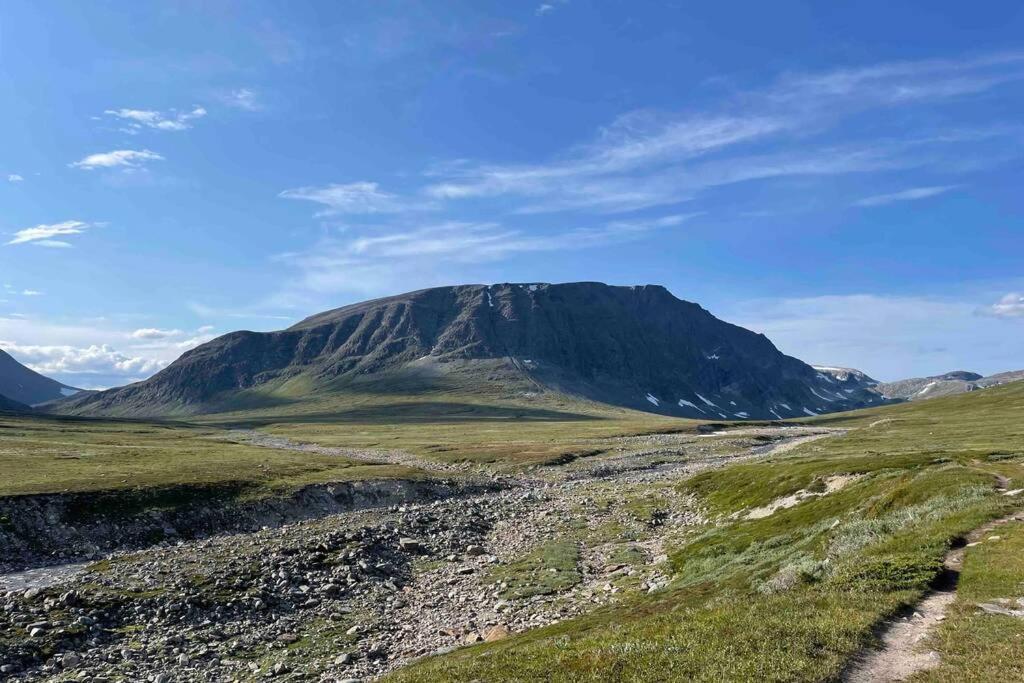 Fjellro Mountain Cabin Oppdal Ngoại thất bức ảnh
