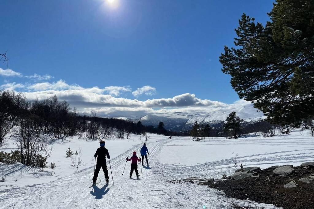 Fjellro Mountain Cabin Oppdal Ngoại thất bức ảnh